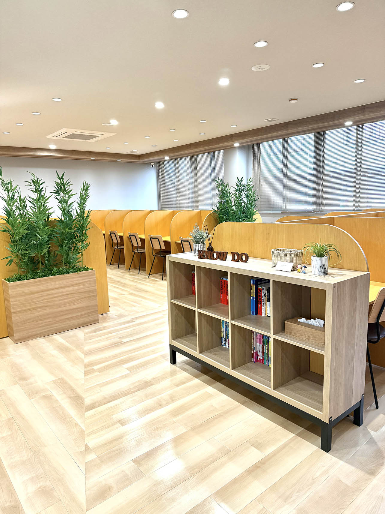寄せ植えプランター GR5036 シェフレラ H2050｜人工観葉植物 連接樹木