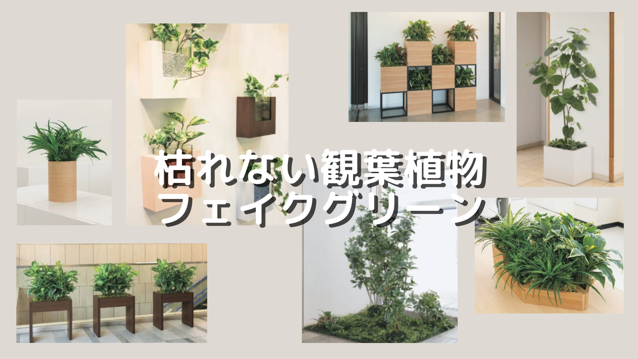 オフィスには枯れない観葉植物フェイクグリーン！｜人気 おすすめ 通販