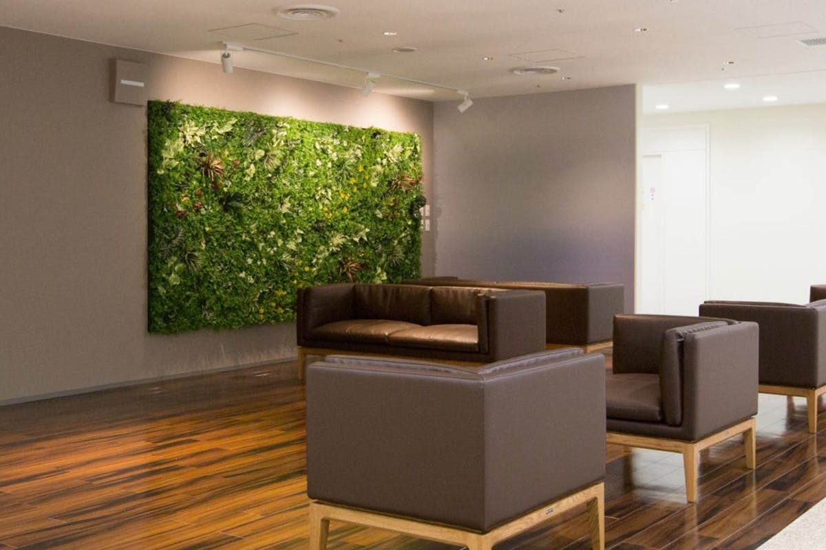 ウォールグリーンで壁一面を彩る！その魅力と事例を紹介｜知識