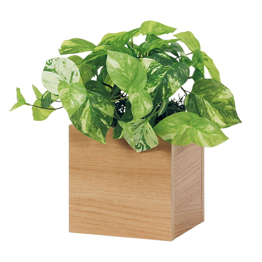 木の葉型器　全27客セット 木の葉型器 全27客セット