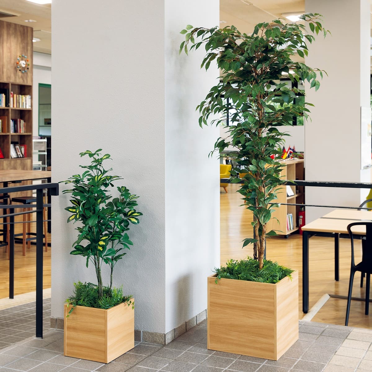 Nearly Natural 人工樹木 金のなる木 ホワイトプランター付1.2m 楽天市場】Nearly Natural 人工樹木 金のなる木 ホワイト