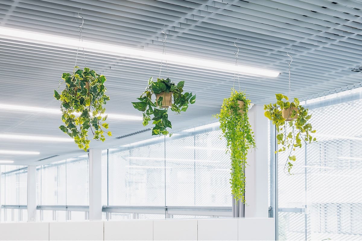 5b18688f-0e1d-4720-8584-