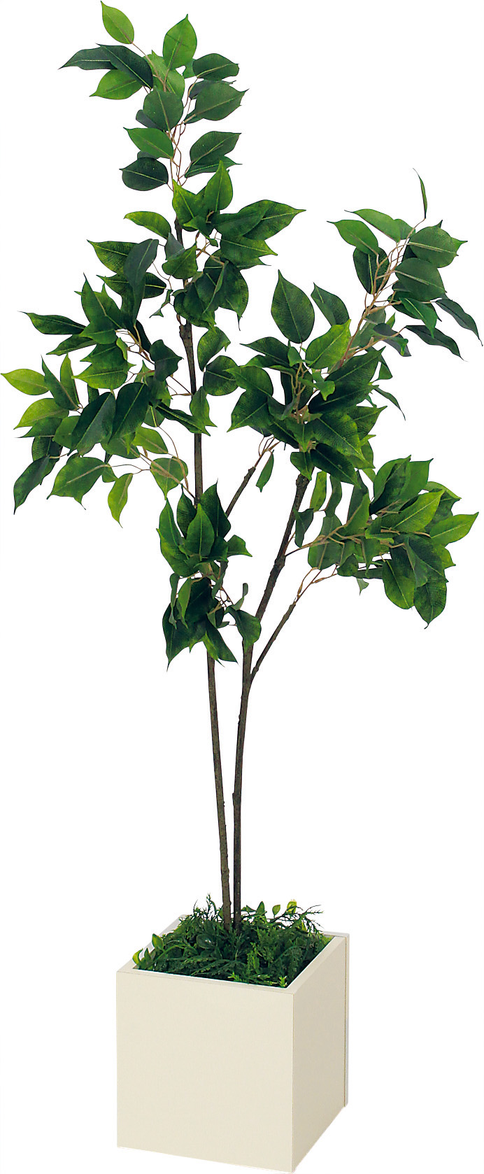 フィッカスベンジャミナリアナ　W80 × D80 × H150cm　フェイクグリーン 人工観葉植物 移転祝い 光触媒 フィッカスベンジャミナリアナ W80 × D80 × H150cm フェイク