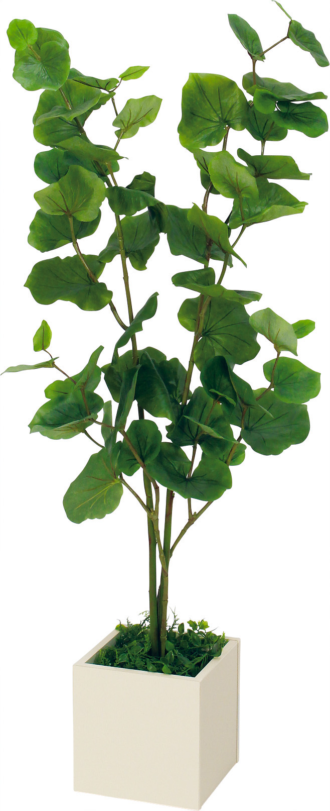 ボックスプランター GR5088 シーグレープ H1200|人工観葉植物 樹木 ボックスプランター GR5088 シーグレープ H1200|人工観葉植物 樹木