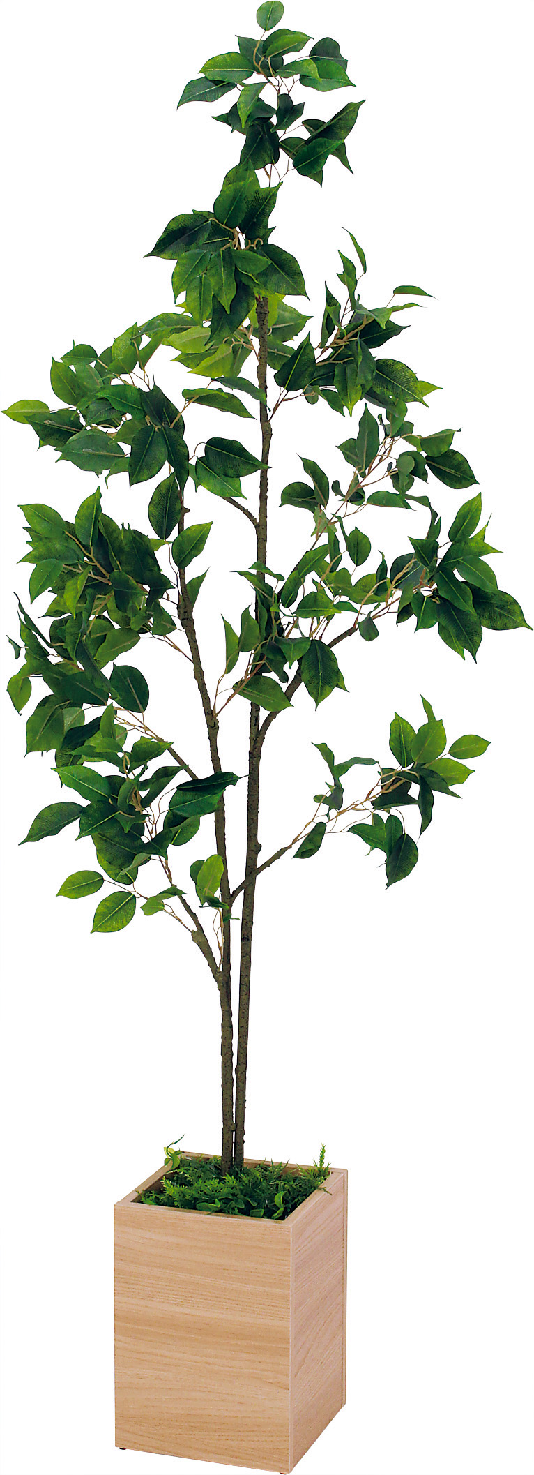 fdde95f9-fb10-413e-9810-