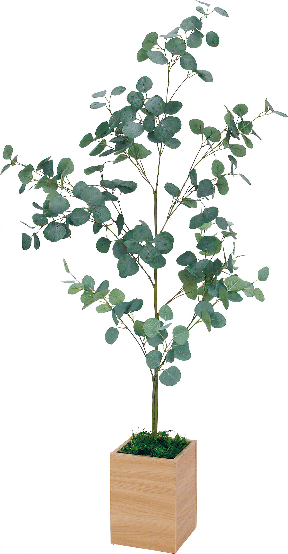 （未使用品）樹種不明　置物　インテリア　木　材木 b8f775781e3433b767598c5298252f