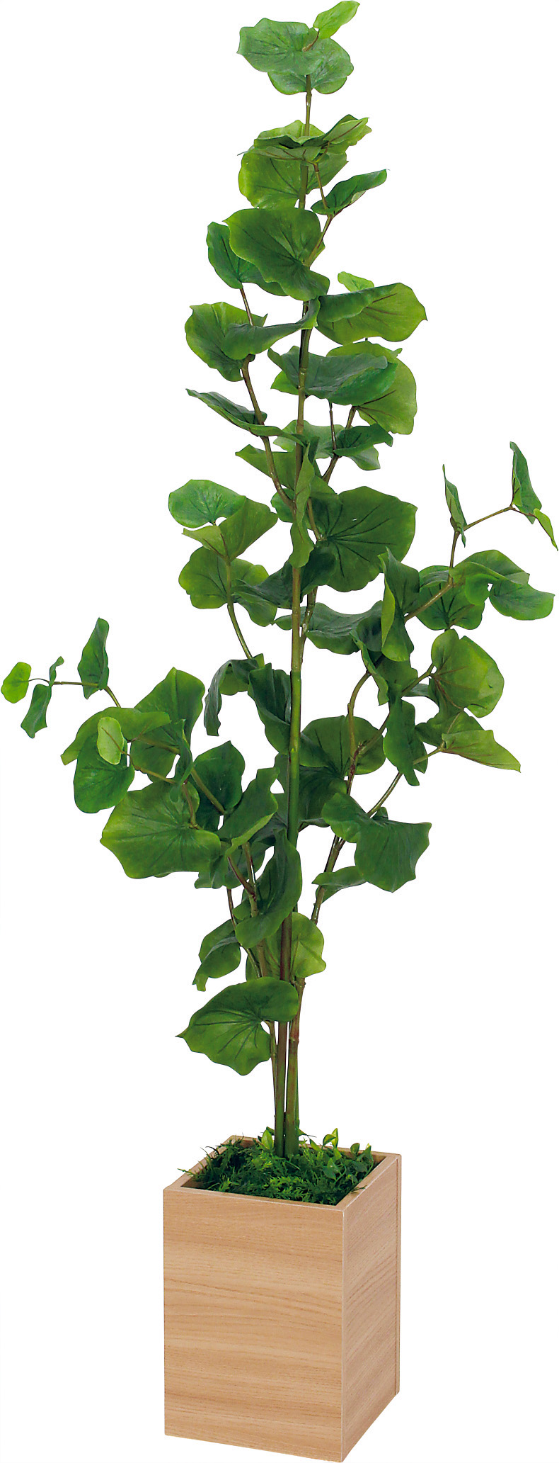 ボックスプランター GR5091 シーグレープ H1500｜人工観葉植物 樹木