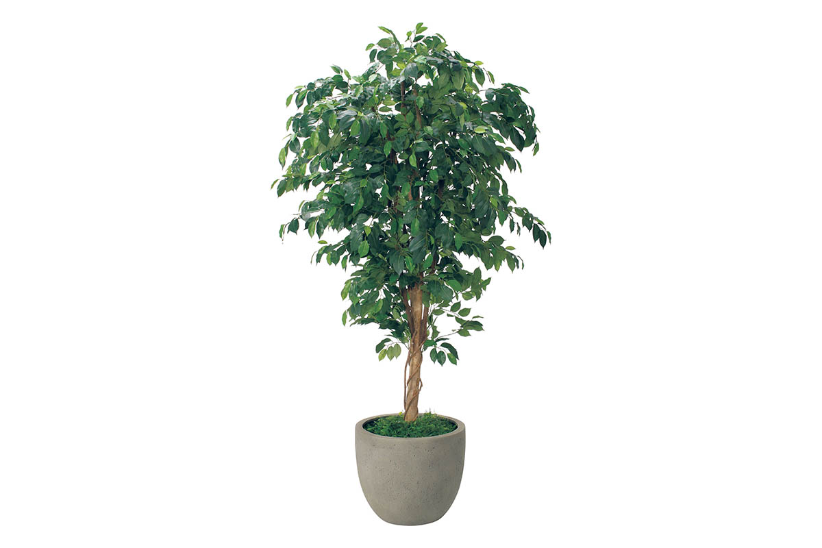 樹木プランター GR5092 H2100 フィカスベンジャミン｜人工観葉植物