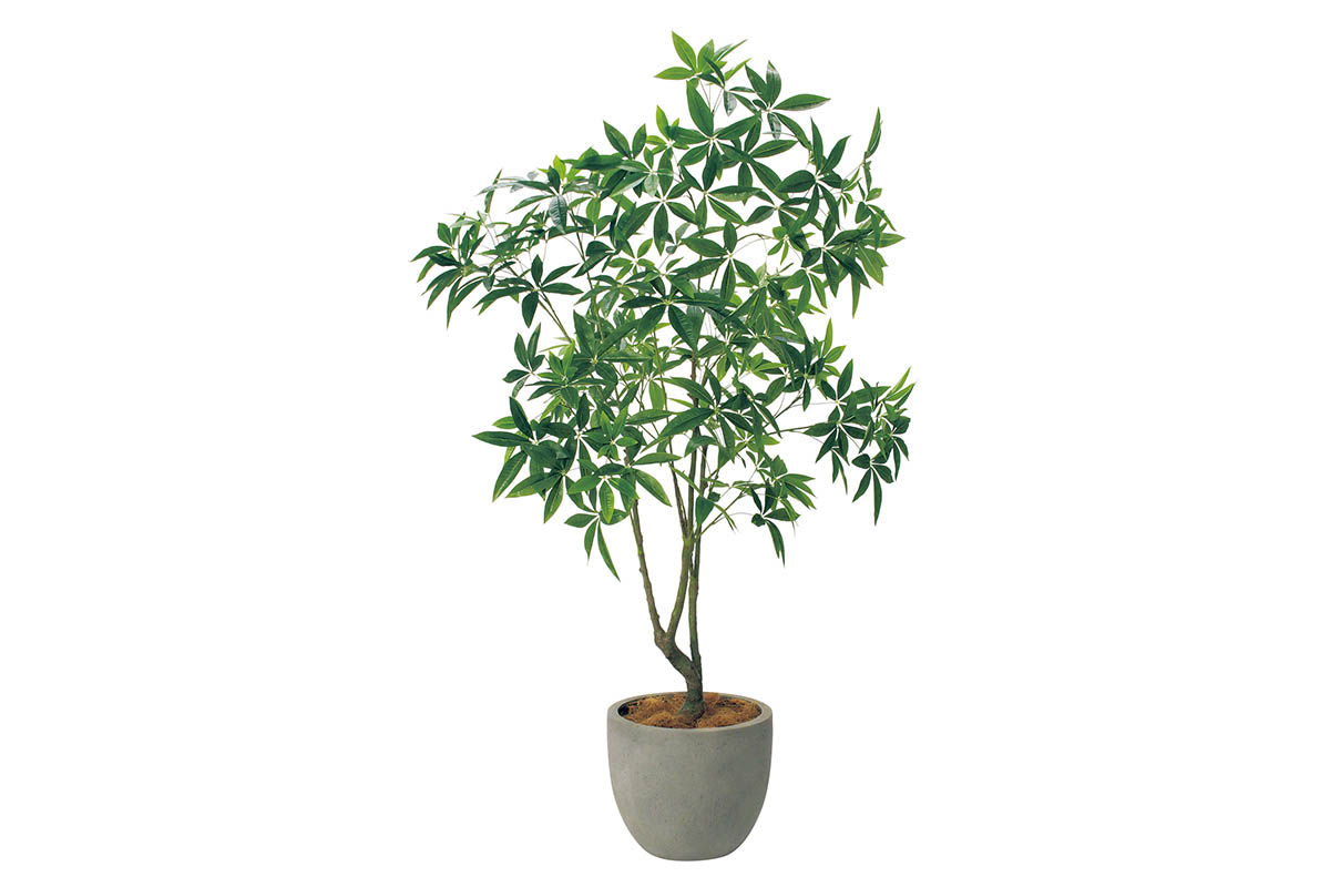 樹木プランター GR5093 H2100 パキラ｜人工観葉植物 シンボルツリー