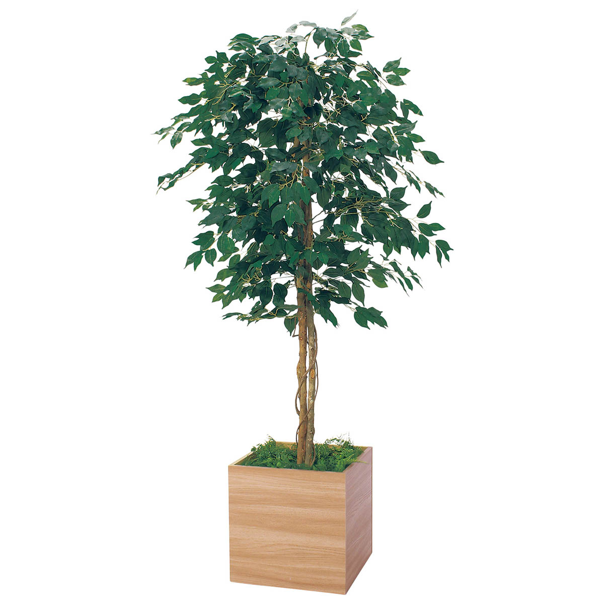 樹木プランター GR5110 H1900 シンプルフィカス｜人工観葉植物 角鉢