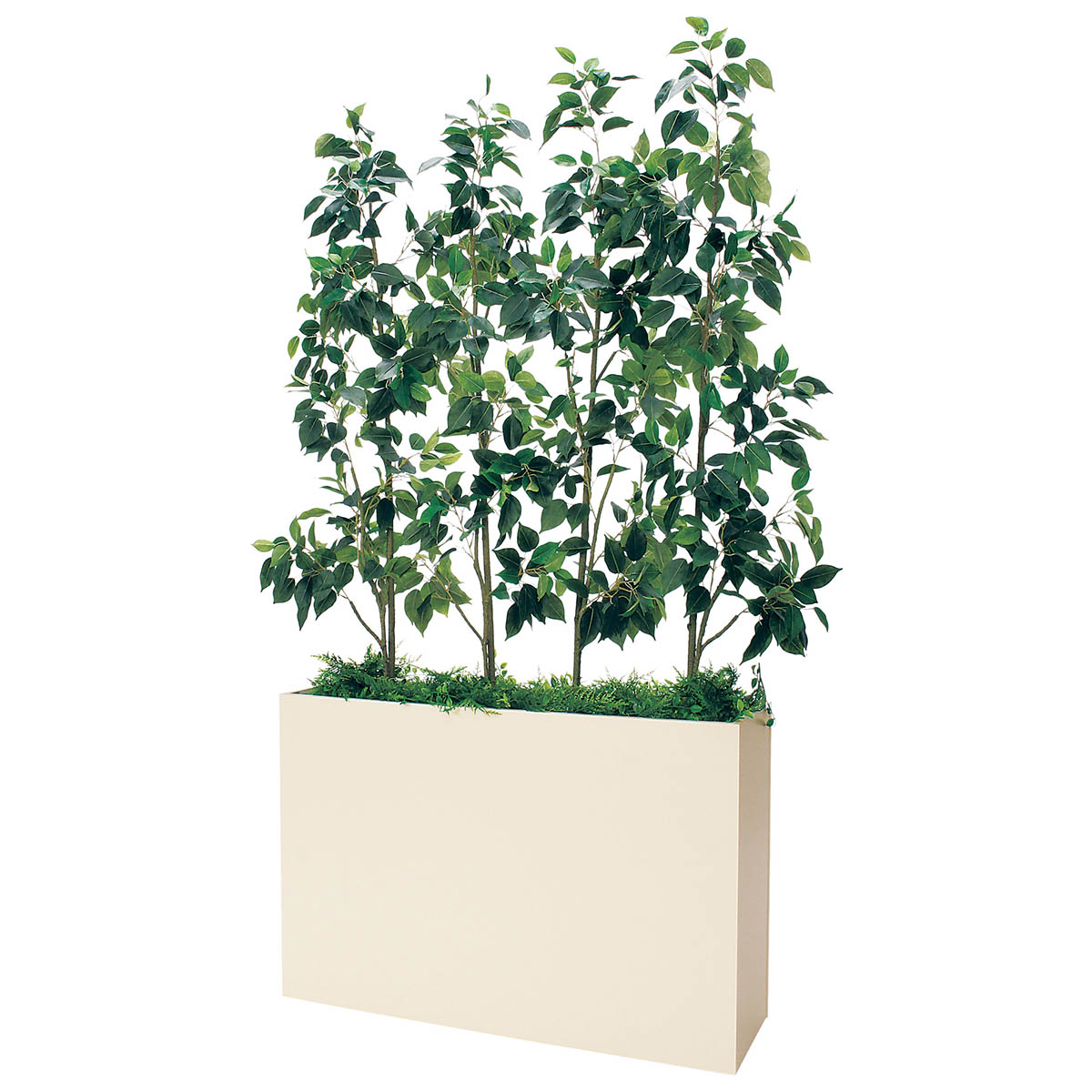 樹木プランター GR5115 H1800 フィカスベンジャミン｜人工観葉植物