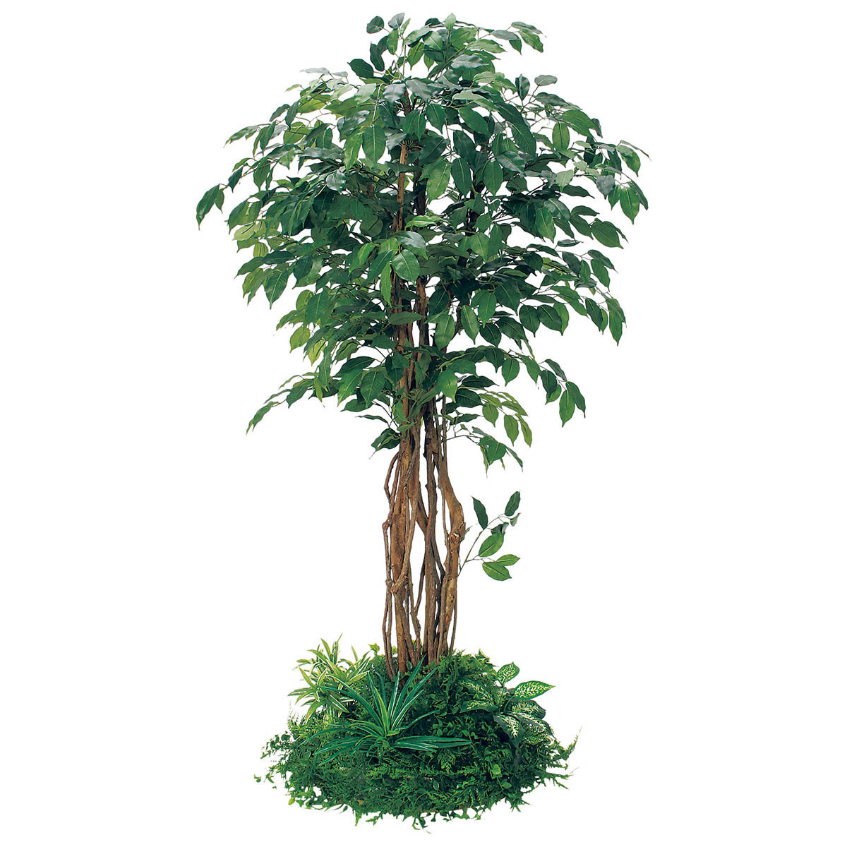 テーブル樹木 GR5141 H1800 フィカスベンジャミン｜人工観葉植物 円
