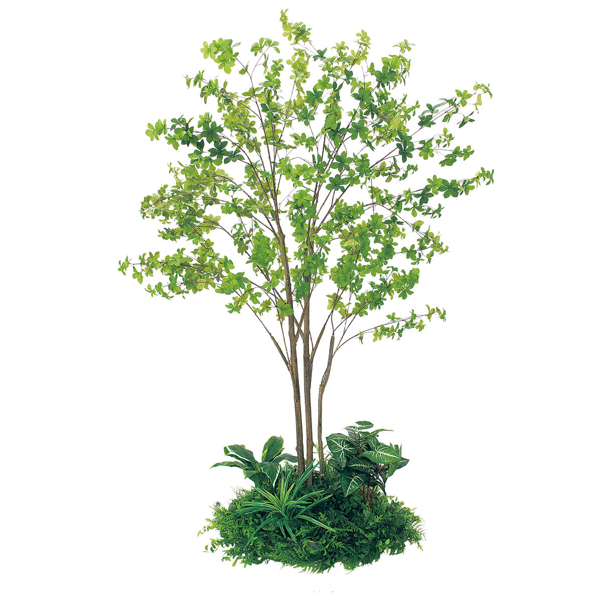 テーブル樹木 GR5146 H1800 ドウダン｜人工観葉植物 円タイプ 60Ф