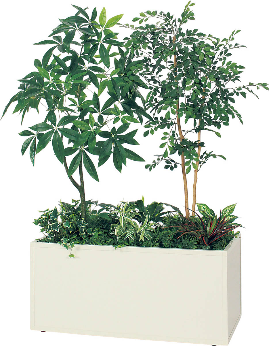 寄せ植えプランター GR5153 パキラ＆トネリコ H1500｜人工観葉植物